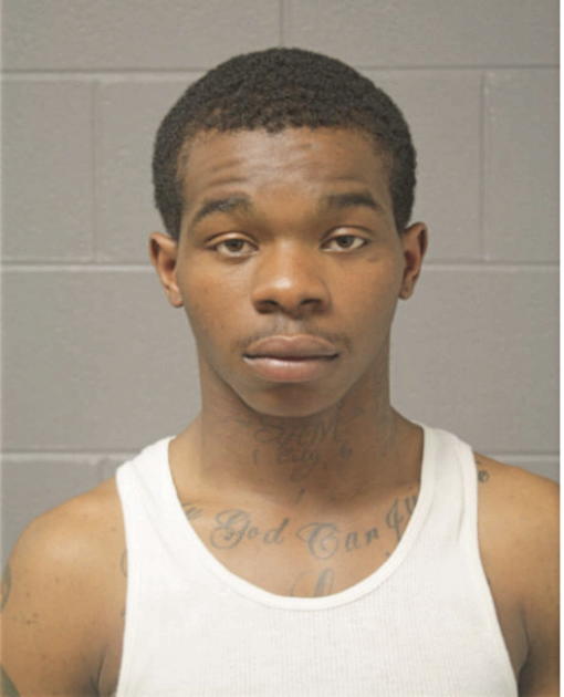 DIAMOND D LITTLE, Cook County, Illinois