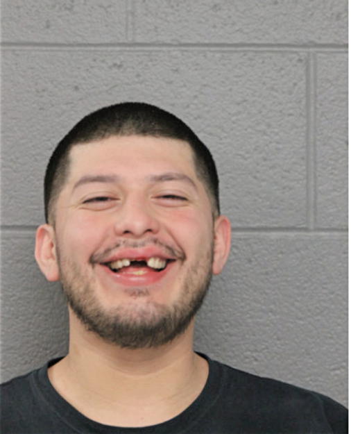 ALEJANDRO J RABAGO, Cook County, Illinois