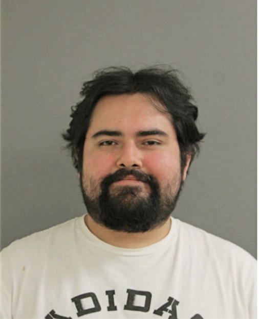 JUAN-MIGUEL RAMIREZ-ROCAMORA, Cook County, Illinois