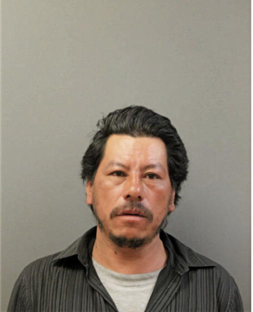 CARLOS RECINOS, Cook County, Illinois