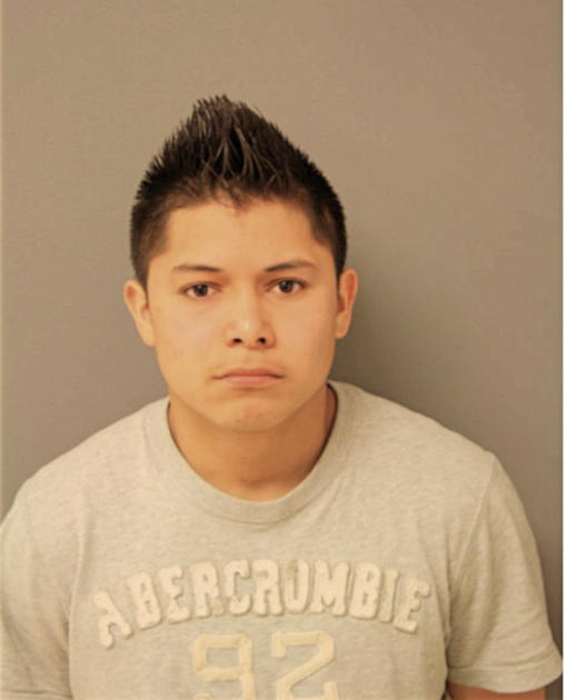 DIEGO REYES, Cook County, Illinois