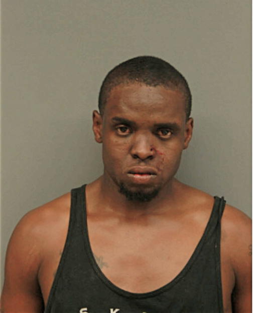 PATRICK E RICHARDSON, Cook County, Illinois