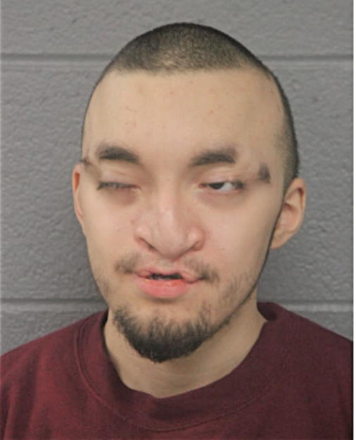 NICHOLAS SAMUDIO, Cook County, Illinois