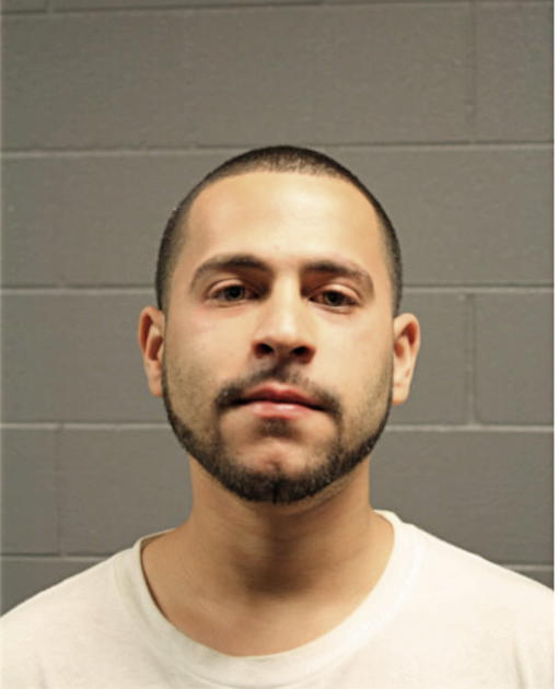 ANTONIO A SANCHEZ, Cook County, Illinois