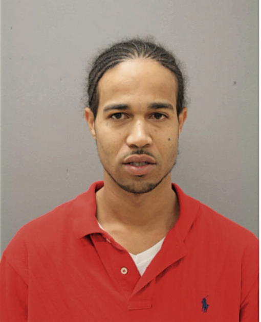 SANTANA T STEELE, Cook County, Illinois