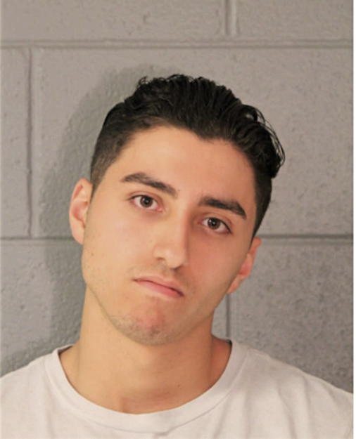 LUIS A TORRES, Cook County, Illinois