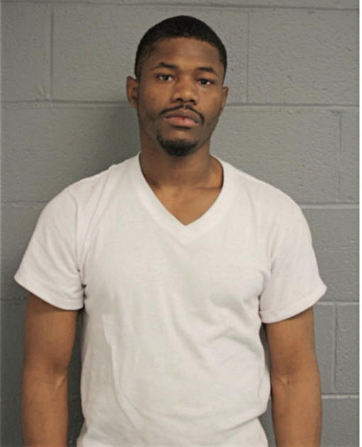 MICHAEL D TOWNSEL, Cook County, Illinois