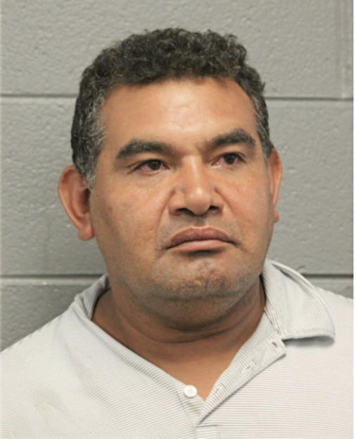 RICKY S TREVINO, Cook County, Illinois