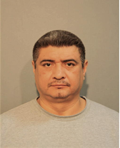 ARMANDO T VENEGAS, Cook County, Illinois