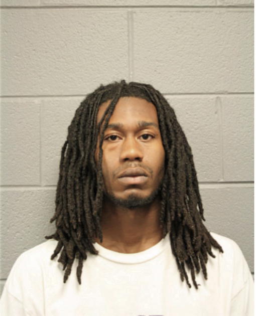 MICHAEL ANDERSON, Cook County, Illinois