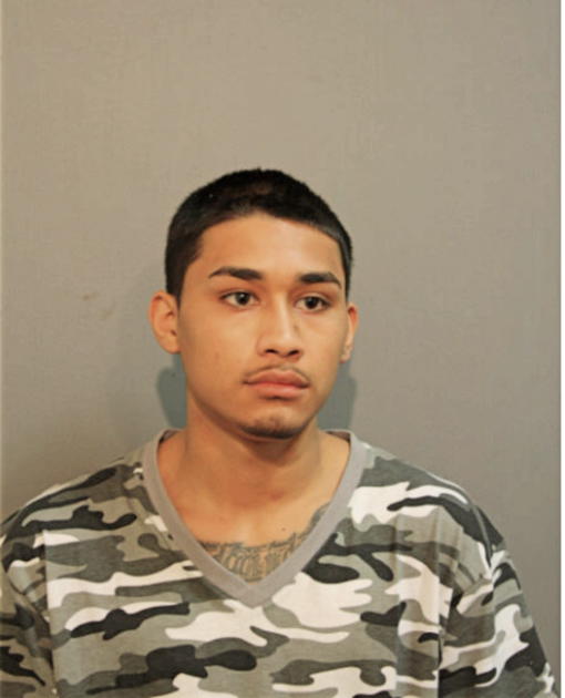 GONZALES ANTHONY CAESAR, Cook County, Illinois