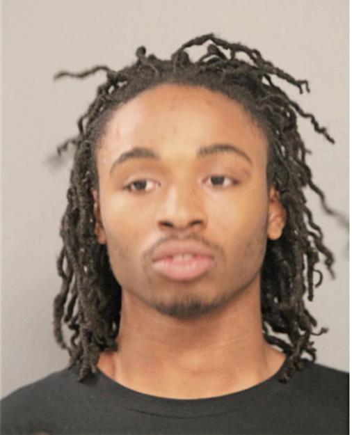 TERRANCE E COOK, Cook County, Illinois