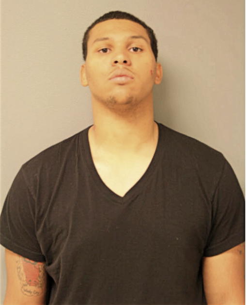 CHRISTOPHER M FRY, Cook County, Illinois