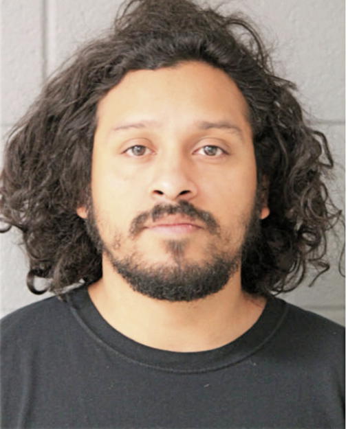 ALEJANDRO I GARCIA, Cook County, Illinois
