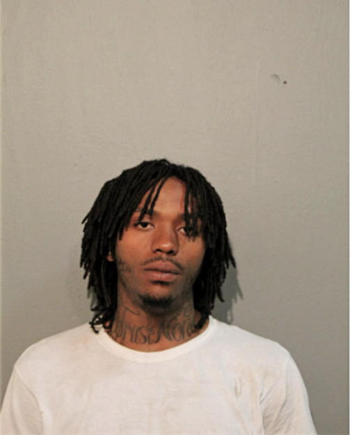 TERRENCE T HAMMOND, Cook County, Illinois