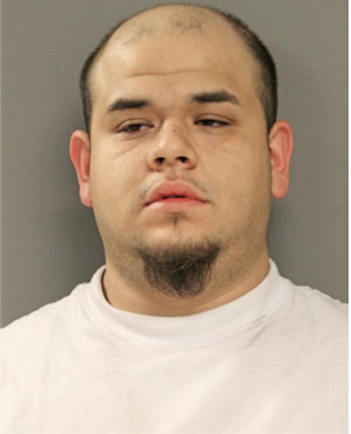 CAMERINO R HERNANDEZ, Cook County, Illinois