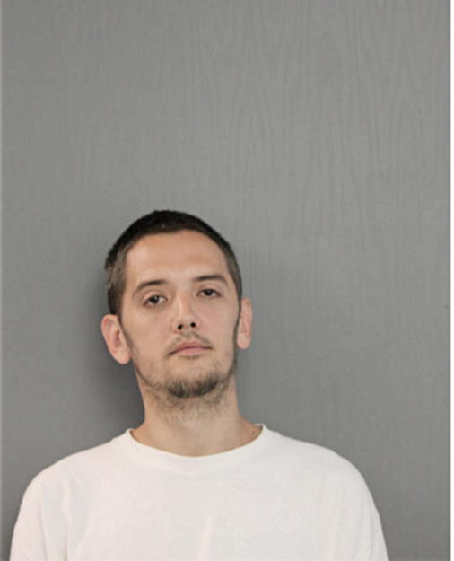 JASON M HOFFMAN, Cook County, Illinois
