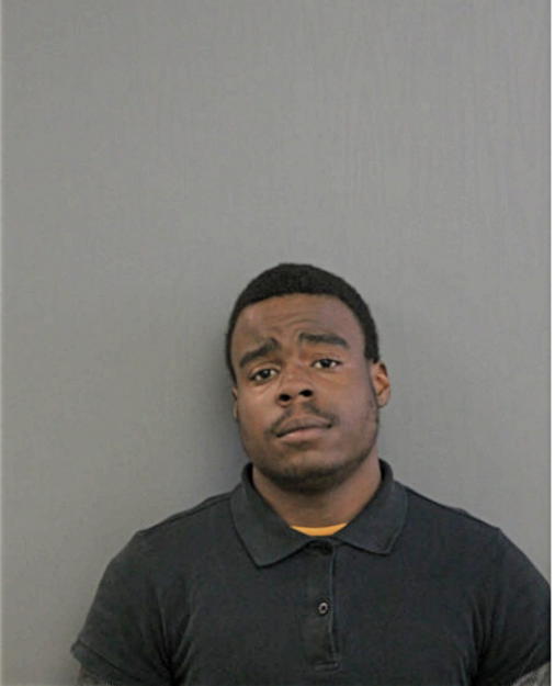 PARIS J HUDSON, Cook County, Illinois