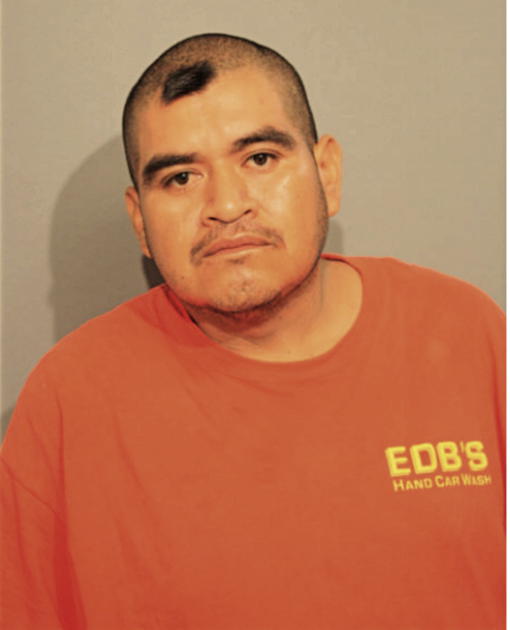 JAVIER IBARRA, Cook County, Illinois