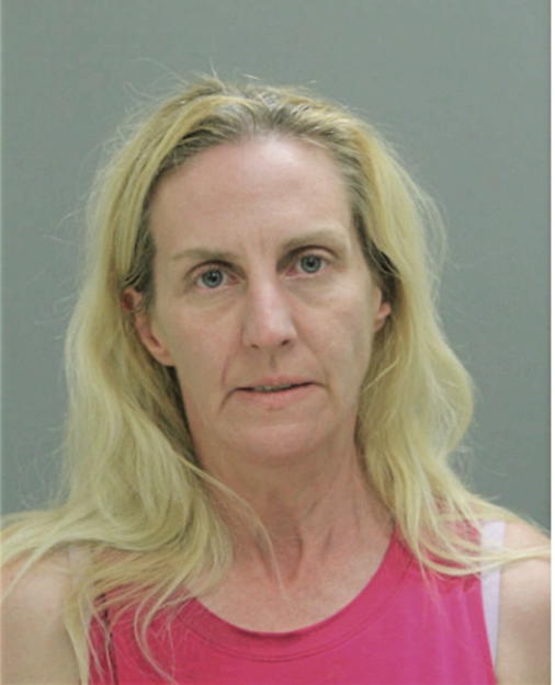 KARINA L KANE, Cook County, Illinois