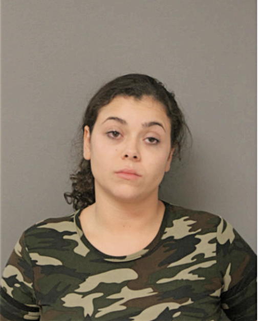 SARAH E LASTOVICH, Cook County, Illinois
