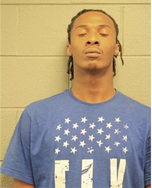 TERRY D LEE, Cook County, Illinois