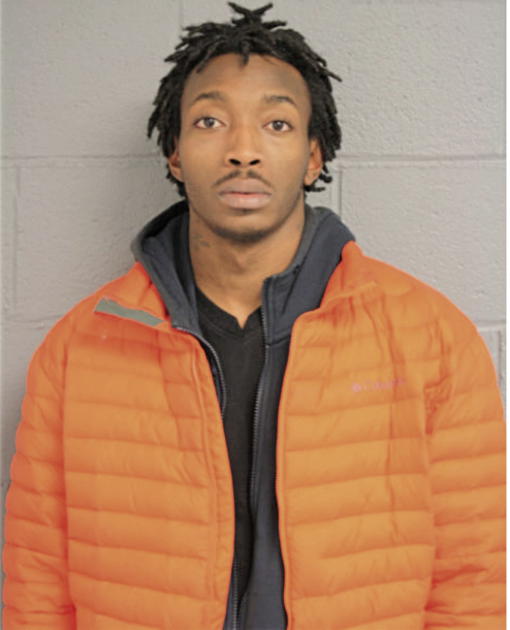 KENNETH J NEAL, Cook County, Illinois