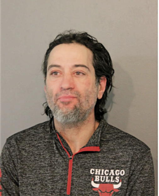 JOHN L PERKOVICH, Cook County, Illinois