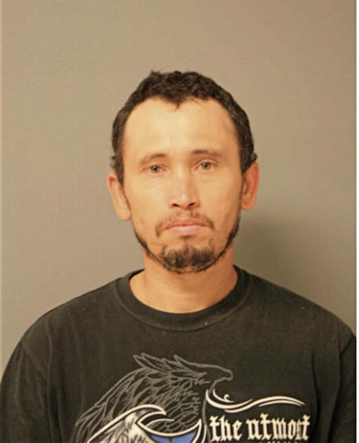 CARLOS A PINEDA, Cook County, Illinois