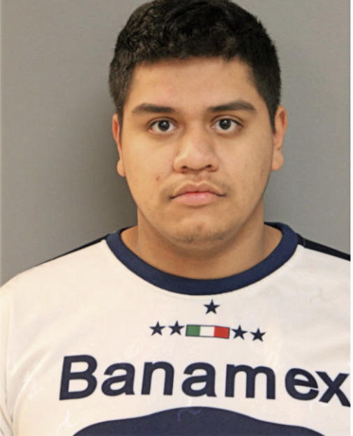 EFRAIN REYES, Cook County, Illinois
