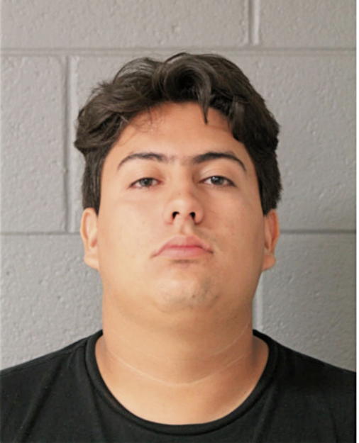 BRYAN B RODRIGUEZ, Cook County, Illinois