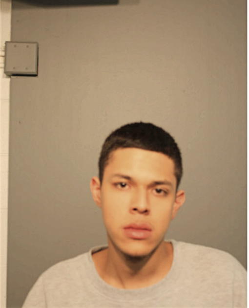 LUIS F RUEDA, Cook County, Illinois