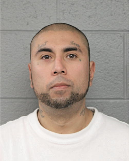 WILLIE SANCHES, Cook County, Illinois