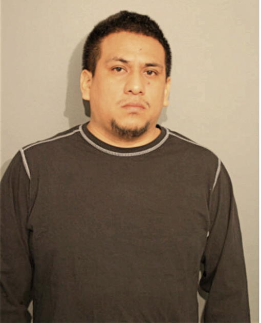GERONIMO TORRES, Cook County, Illinois