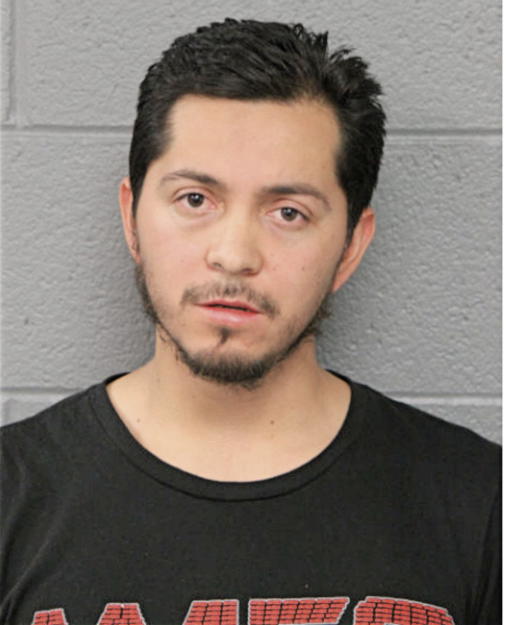 JUAN CARLOS VILLALOBOS-GONZALEZ, Cook County, Illinois