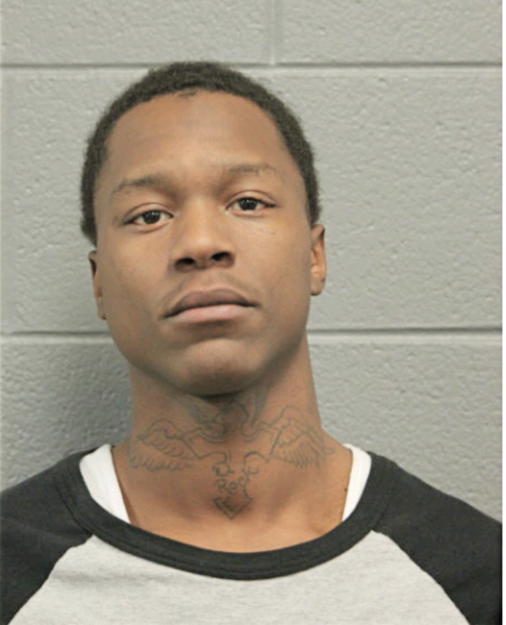 DADISI D WILLIAMS, Cook County, Illinois
