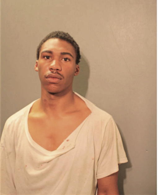 DIOP YOUNG, Cook County, Illinois