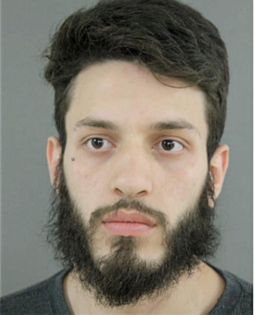 JOSHUA ANDRAUS, Cook County, Illinois