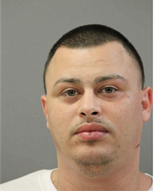 ISHMAEL L BAHENA, Cook County, Illinois