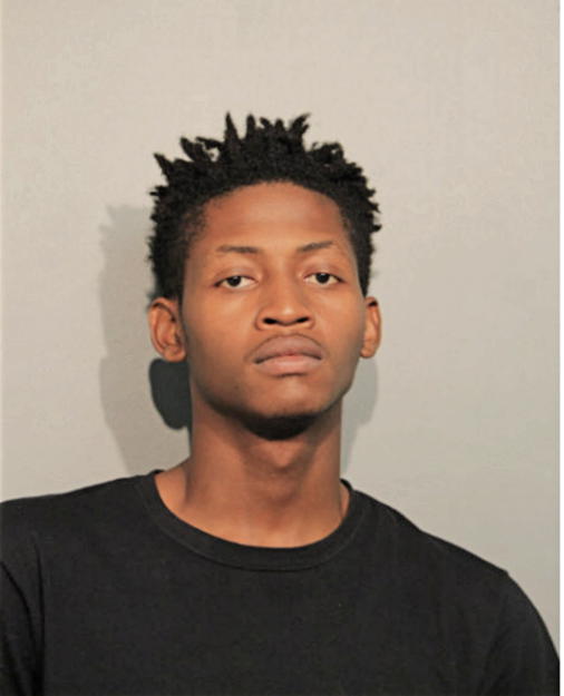 RICARDO J BASTIEN CHERY, Cook County, Illinois