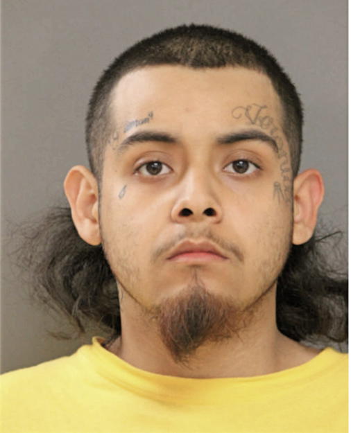 GABRIEL BOTELLO, Cook County, Illinois