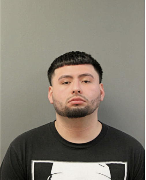 CESAR E CRUZ HERNANDEZ, Cook County, Illinois