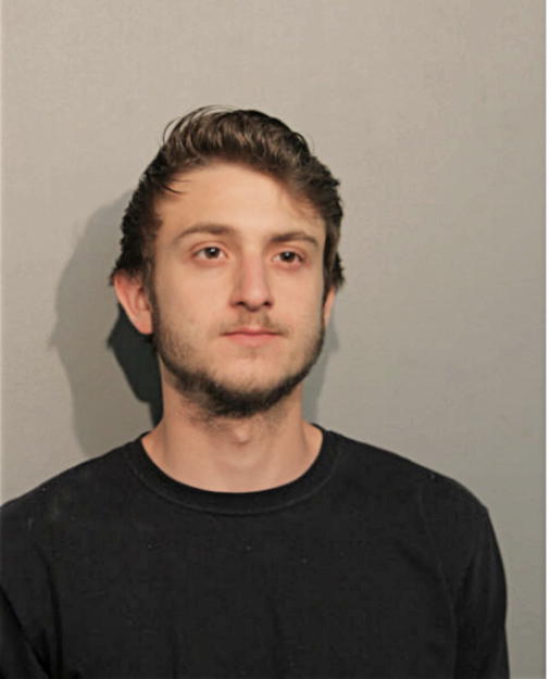 ARMIN DELIC, Cook County, Illinois