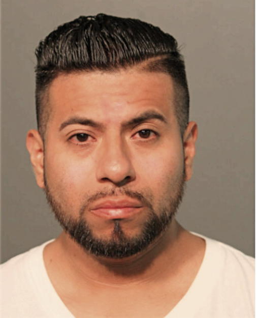 LUIS A DOMINGUEZ, Cook County, Illinois