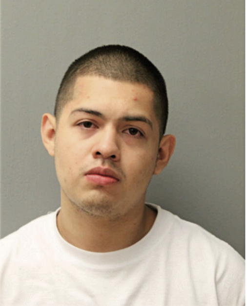 LUIS F DORANTES, Cook County, Illinois