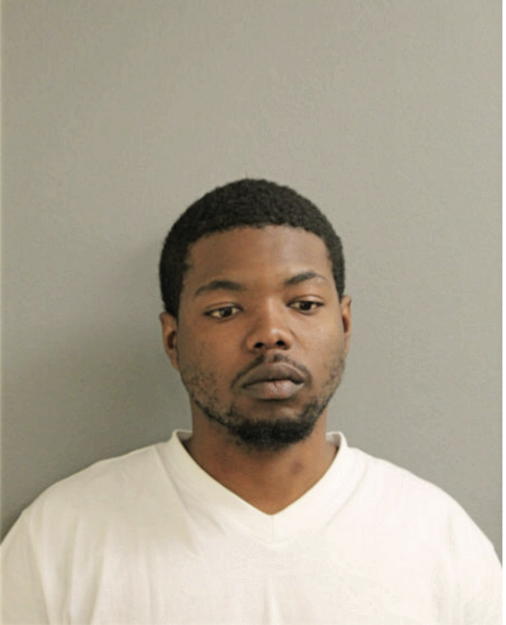 RAMONE V JOHNSON, Cook County, Illinois