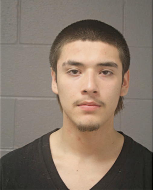 JORGE L MARTINEZ, Cook County, Illinois