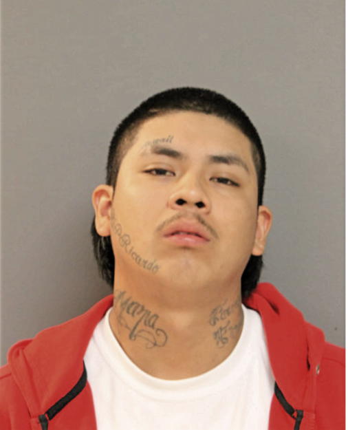 ROBERTO MENDOZA, Cook County, Illinois