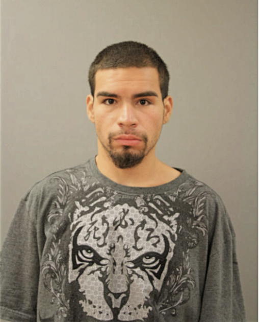 DANIEL A MOLINA, Cook County, Illinois