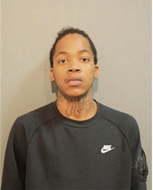 BRANDON N PAUL, Cook County, Illinois